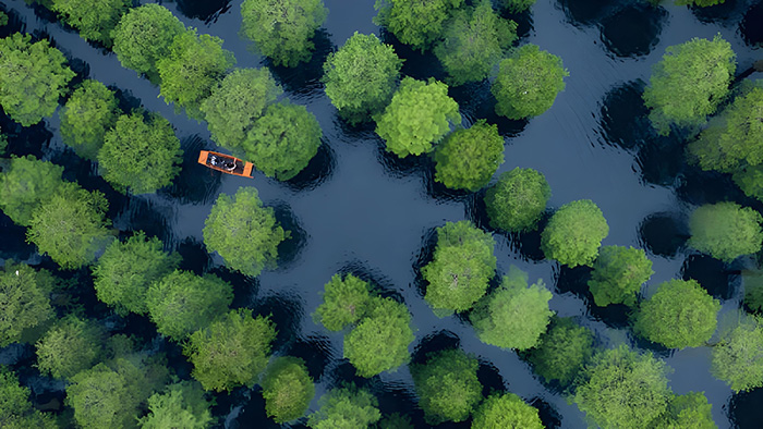 Mountain and lake scenery