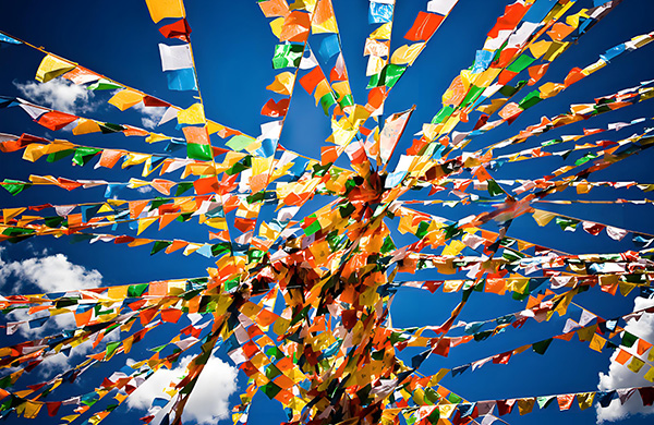 Day 5 Shigatse drive back to Lhasa (B/L)