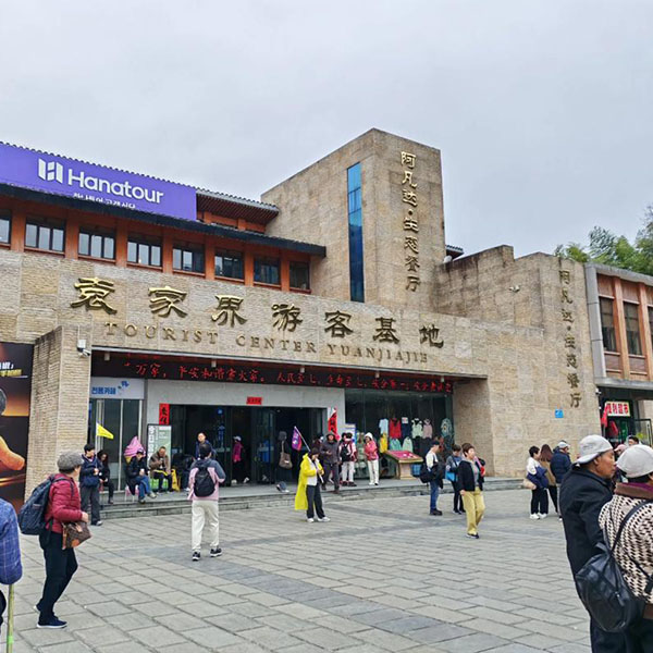 Lunch (12:30 PM - 1:30 PM): Quick Bite