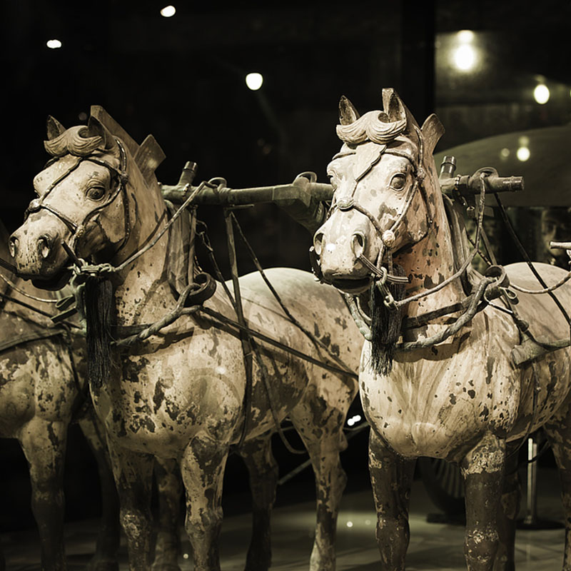 DAY 5 Xian (B, L, D)