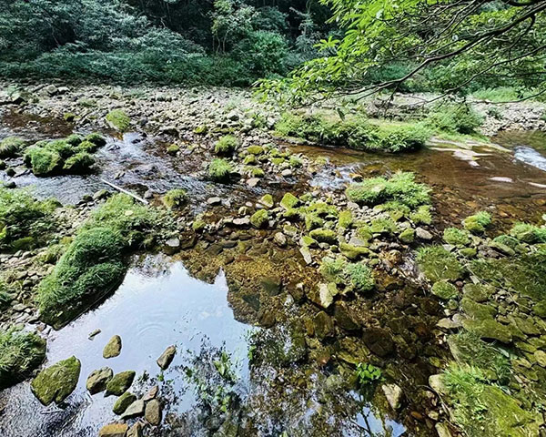 ・8:30 AM - 10:00 AM: Jinbianxi (Golden Whip Stream) Hike