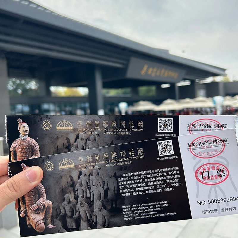 Morning (8:00 AM - 1:00 PM): The Terracotta Warriors