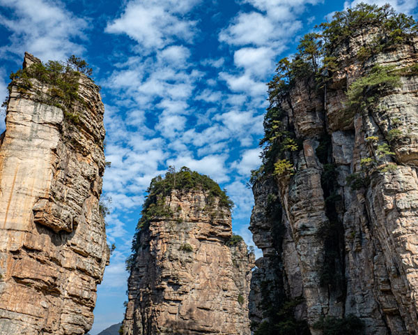 ・1:30 PM - 2:30 PM: Tianzi Mountain (天子山) Taster