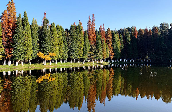 DAY 1 Arrival Kunming