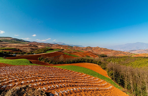 DAY 1 Arrival Kunming