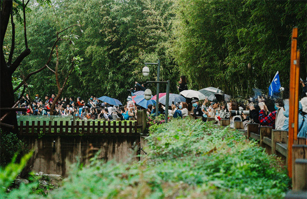 DAY 7Chengdu (B, L, D)
