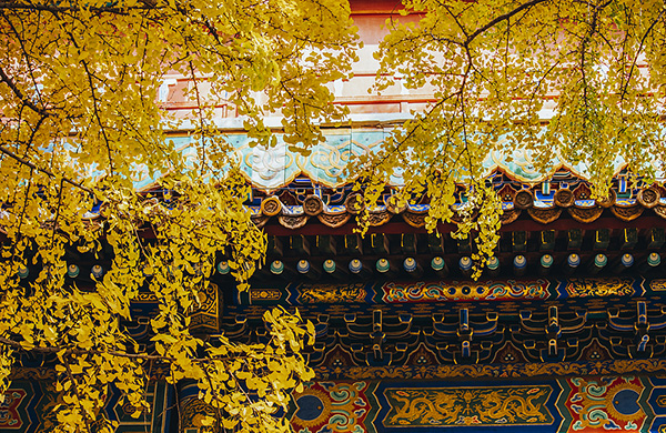 DAY 10 Shanghai Departure (B)